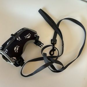 Ferret Leash and Harness